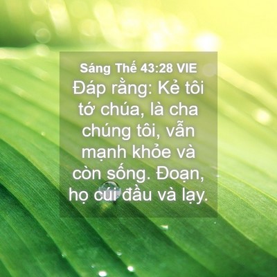 Picture 04 - Sáng Thế 43:28 VIE - Đáp rằng: Kẻ tôi tớ chúa, là cha - Bible Verse Picture