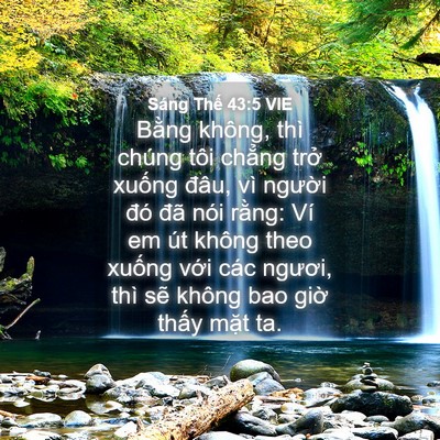 Picture 04 - Sáng Thế 43:5 VIE - Bằng không, thì chúng tôi chẳng trở - Bible Verse Picture