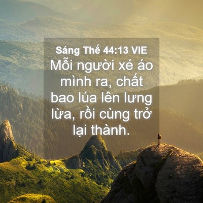 Picture 04 - Sáng Thế 44:13 VIE - Mỗi người xé áo mình ra, chất bao lúa - Bible Verse Picture