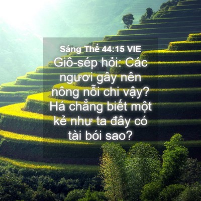 Picture 04 - Sáng Thế 44:15 VIE - Giô-sép hỏi: Các ngươi gây nên nông - Bible Verse Picture