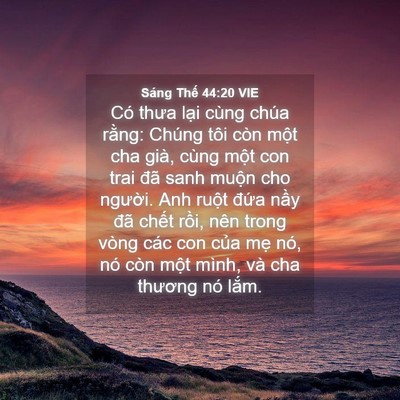 Picture 04 - Sáng Thế 44:20 VIE - Có thưa lại cùng chúa rằng: Chúng tôi - Bible Verse Picture