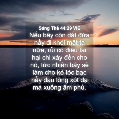 Picture 04 - Sáng Thế 44:29 VIE - Nếu bây còn dắt đứa nầy đi khỏi - Bible Verse Picture