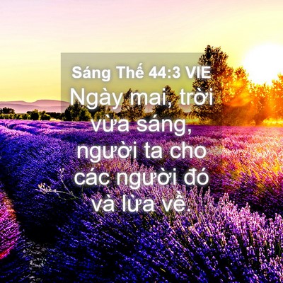 Picture 04 - Sáng Thế 44:3 VIE - Ngày mai, trời vừa sáng, người ta cho - Bible Verse Picture