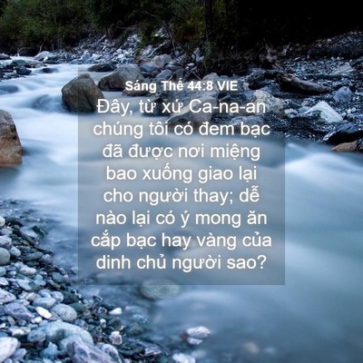 Picture 04 - Sáng Thế 44:8 VIE - Đây, từ xứ Ca-na-an chúng tôi có đem - Bible Verse Picture