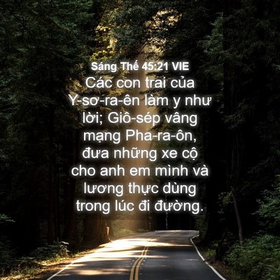 Picture 04 - Sáng Thế 45:21 VIE - Các con trai của Y-sơ-ra-ên làm y như - Bible Verse Picture