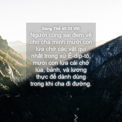 Picture 04 - Sáng Thế 45:23 VIE - Người cũng sai đem về cho cha mình - Bible Verse Picture
