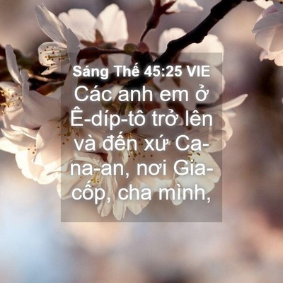 Picture 04 - Sáng Thế 45:25 VIE - Các anh em ở Ê-díp-tô trở lên và đến - Bible Verse Picture