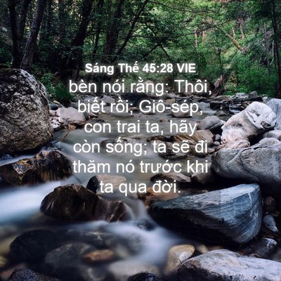 Picture 04 - Sáng Thế 45:28 VIE - bèn nói rằng: Thôi, biết rồi; Giô-sép, - Bible Verse Picture