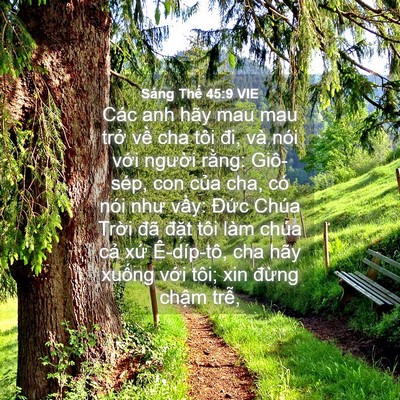 Picture 04 - Sáng Thế 45:9 VIE - Các anh hãy mau mau trở về cha tôi đi, - Bible Verse Picture