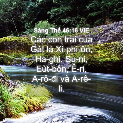 Picture 04 - Sáng Thế 46:16 VIE - Các con trai của Gát là Xi-phi-ôn, Ha-ghi, - Bible Verse Picture