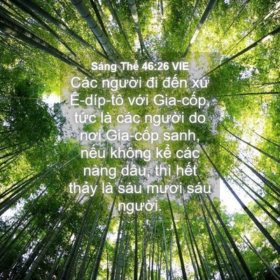 Picture 04 - Sáng Thế 46:26 VIE - Các người đi đến xứ Ê-díp-tô với - Bible Verse Picture