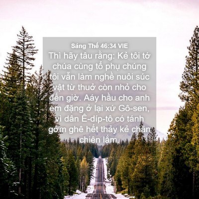 Picture 04 - Sáng Thế 46:34 VIE - Thì hãy tâu rằng: Kẻ tôi tớ chúa cùng - Bible Verse Picture