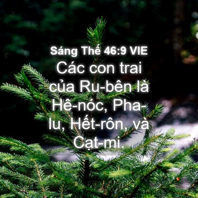 Picture 04 - Sáng Thế 46:9 VIE - Các con trai của Ru-bên là Hê-nóc, Pha-lu, - Bible Verse Picture