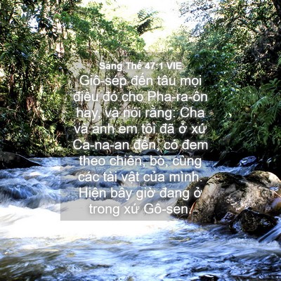 Picture 04 - Sáng Thế 47:1 VIE - Giô-sép đến tâu mọi điều đó cho - Bible Verse Picture