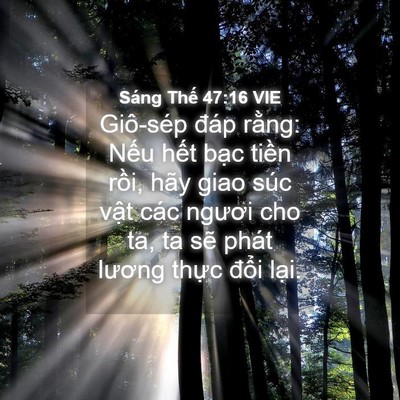 Picture 04 - Sáng Thế 47:16 VIE - Giô-sép đáp rằng: Nếu hết bạc tiền - Bible Verse Picture