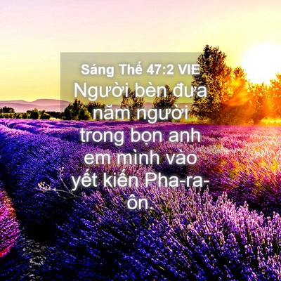 Picture 04 - Sáng Thế 47:2 VIE - Người bèn đưa năm người trong bọn anh - Bible Verse Picture