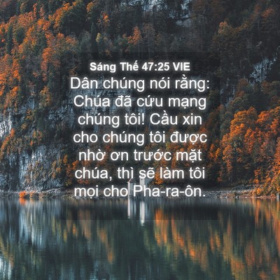 Picture 04 - Sáng Thế 47:25 VIE - Dân chúng nói rằng: Chúa đã cứu mạng - Bible Verse Picture