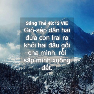 Picture 04 - Sáng Thế 48:12 VIE - Giô-sép dẫn hai đứa con trai ra khỏi hai - Bible Verse Picture