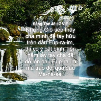 Picture 04 - Sáng Thế 48:17 VIE - Nhưng Giô-sép thấy cha mình để tay hữu - Bible Verse Picture