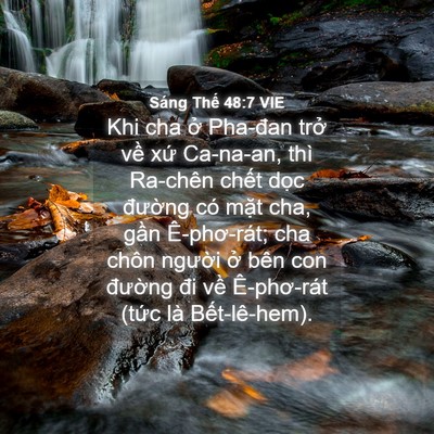 Picture 04 - Sáng Thế 48:7 VIE - Khi cha ở Pha-đan trở về xứ Ca-na-an, - Bible Verse Picture