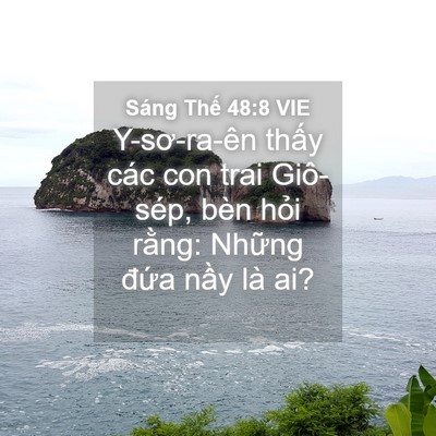 Picture 04 - Sáng Thế 48:8 VIE - Y-sơ-ra-ên thấy các con trai Giô-sép, bèn - Bible Verse Picture
