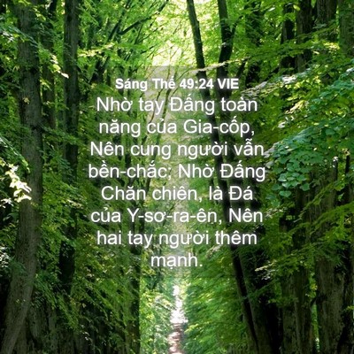 Picture 04 - Sáng Thế 49:24 VIE - Nhờ tay Đấng toàn năng của Gia-cốp, - Bible Verse Picture