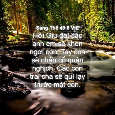 Picture 04 - Sáng Thế 49:8 VIE - Hỡi Giu-đa! các anh em sẽ khen ngợi con, - Bible Verse Picture