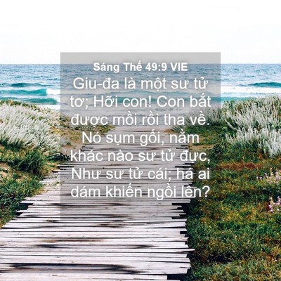 Picture 04 - Sáng Thế 49:9 VIE - Giu-đa là một sư tử tơ; Hỡi con! Con - Bible Verse Picture