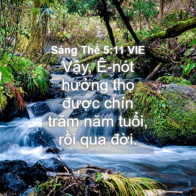 Picture 04 - Sáng Thế 5:11 VIE - Vậy, Ê-nót hưởng thọ được chín - Bible Verse Picture