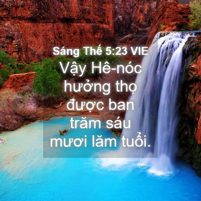 Picture 04 - Sáng Thế 5:23 VIE - Vậy Hê-nóc hưởng thọ được ban trăm - Bible Verse Picture