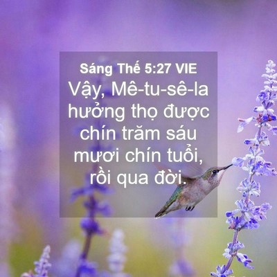 Picture 04 - Sáng Thế 5:27 VIE - Vậy, Mê-tu-sê-la hưởng thọ được - Bible Verse Picture