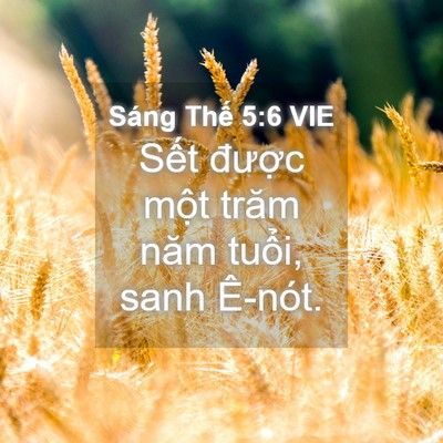 Picture 04 - Sáng Thế 5:6 VIE - Sết được một trăm năm tuổi, sanh - Bible Verse Picture