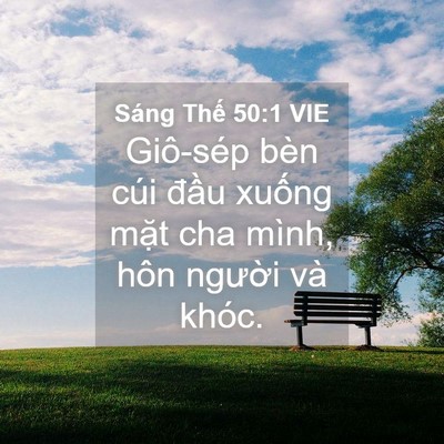 Picture 04 - Sáng Thế 50:1 VIE - Giô-sép bèn cúi đầu xuống mặt cha - Bible Verse Picture