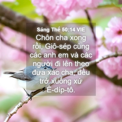 Picture 04 - Sáng Thế 50:14 VIE - Chôn cha xong rồi, Giô-sép cùng các anh em - Bible Verse Picture