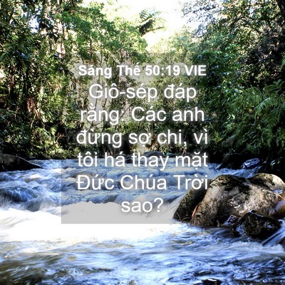 Picture 04 - Sáng Thế 50:19 VIE - Giô-sép đáp rằng: Các anh đừng sợ - Bible Verse Picture