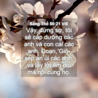Picture 04 - Sáng Thế 50:21 VIE - Vậy, đừng sợ, tôi sẽ cấp dưỡng - Bible Verse Picture