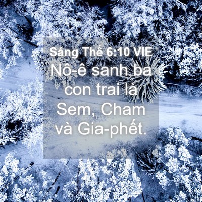 Picture 04 - Sáng Thế 6:10 VIE - Nô-ê sanh ba con trai là Sem, Cham và - Bible Verse Picture