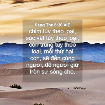 Picture 04 - Sáng Thế 6:20 VIE - chim tùy theo loại, súc vật tùy theo - Bible Verse Picture