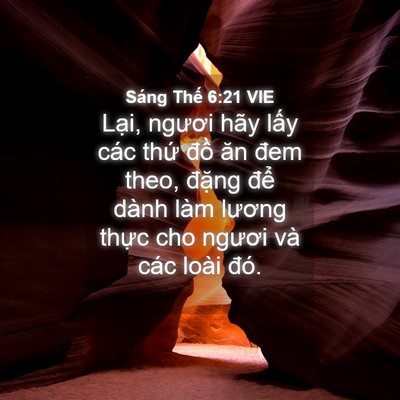 Picture 04 - Sáng Thế 6:21 VIE - Lại, ngươi hãy lấy các thứ đồ ăn - Bible Verse Picture