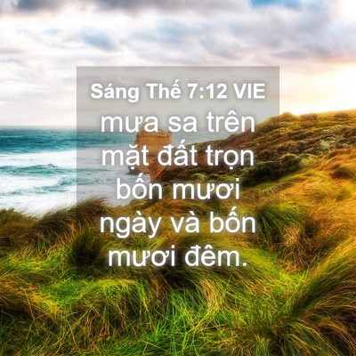 Picture 04 - Sáng Thế 7:12 VIE - mưa sa trên mặt đất trọn bốn mươi - Bible Verse Picture