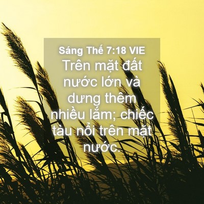 Picture 04 - Sáng Thế 7:18 VIE - Trên mặt đất nước lớn và dưng thêm - Bible Verse Picture