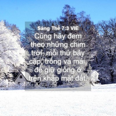 Picture 04 - Sáng Thế 7:3 VIE - Cũng hãy đem theo những chim trời, mỗi - Bible Verse Picture