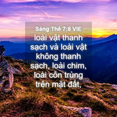 Picture 04 - Sáng Thế 7:8 VIE - loài vật thanh sạch và loài vật không - Bible Verse Picture