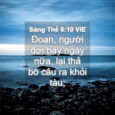 Picture 04 - Sáng Thế 8:10 VIE - Đoạn, người đợi bảy ngày nữa, lại - Bible Verse Picture