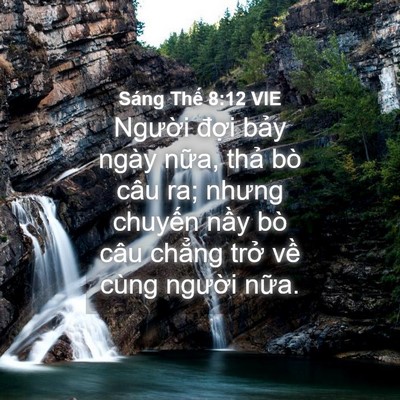 Picture 04 - Sáng Thế 8:12 VIE - Người đợi bảy ngày nữa, thả bò câu - Bible Verse Picture
