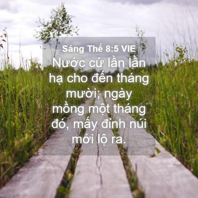 Picture 04 - Sáng Thế 8:5 VIE - Nước cứ lần lần hạ cho đến tháng - Bible Verse Picture