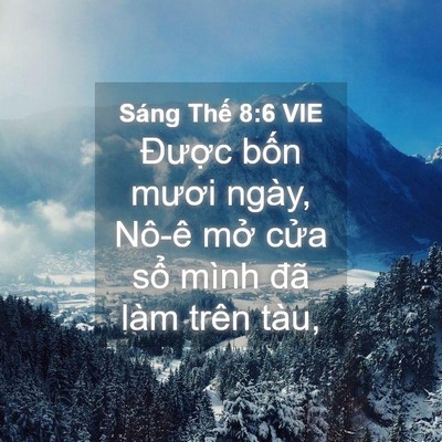 Picture 04 - Sáng Thế 8:6 VIE - Được bốn mươi ngày, Nô-ê mở cửa - Bible Verse Picture