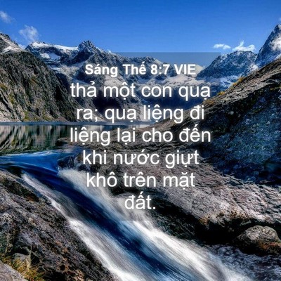 Picture 04 - Sáng Thế 8:7 VIE - thả một con quạ ra; quạ liệng đi - Bible Verse Picture