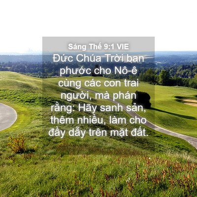 Picture 04 - Sáng Thế 9:1 VIE - Đức Chúa Trời ban phước cho Nô-ê cùng - Bible Verse Picture