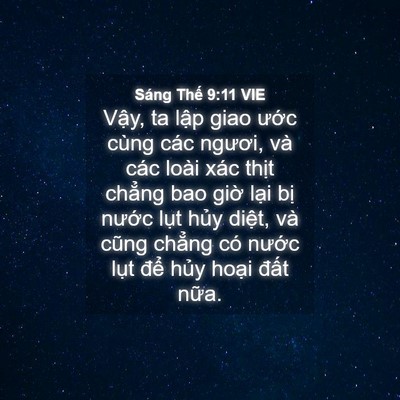 Picture 04 - Sáng Thế 9:11 VIE - Vậy, ta lập giao ước cùng các ngươi, - Bible Verse Picture